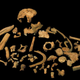 Skeletal remains of Homo antecessor.
